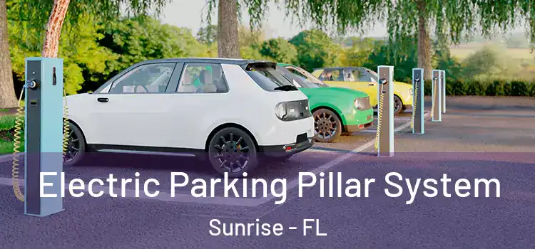  Electric Parking Pillar System Sunrise - FL