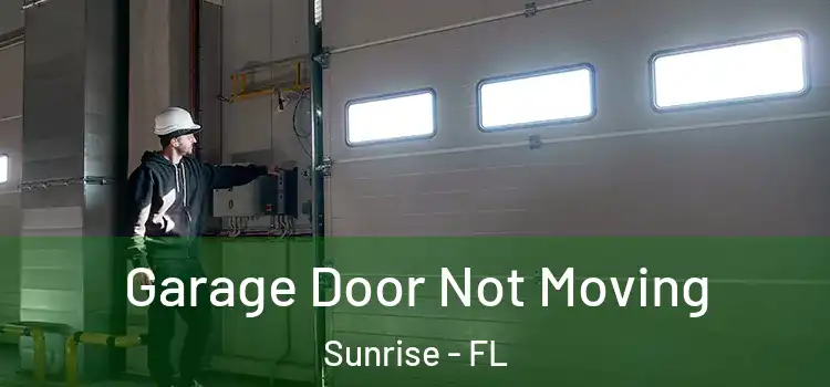  Garage Door Not Moving Sunrise - FL