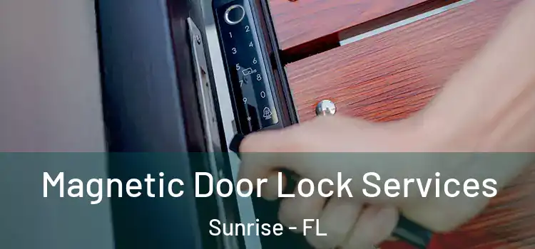  Magnetic Door Lock Services Sunrise - FL